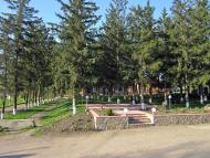 Воєводське з panoramio.com