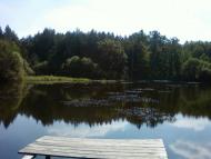 Мізяківська Слобідка з panoramio.com