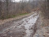 Підгірне з panoramio.com