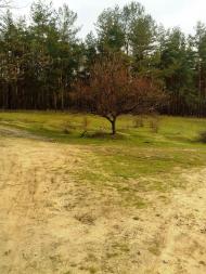 Лисичанський з panoramio.com