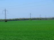 Широкий з panoramio.com