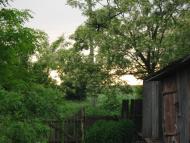 Дем'янці з panoramio.com - Демьянцы