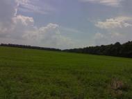 Ракова з panoramio.com