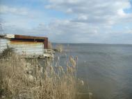 Олександрівка з panoramio.com