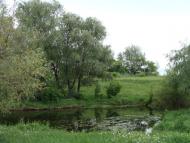 Смирнівка з panoramio.com