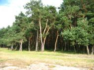 Гончарівка з panoramio.com