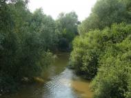 Луки з panoramio.com