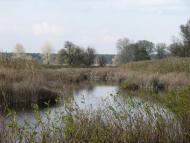 Морозівка з panoramio.com