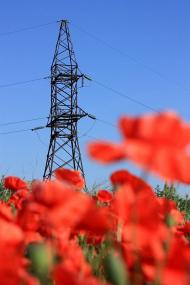 Ожидів з panoramio.com