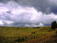 Травневе з panoramio.com