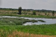 Павлівка з panoramio.com