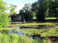 Кончаки з panoramio.com