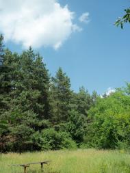 Пологи-Низ з panoramio.com