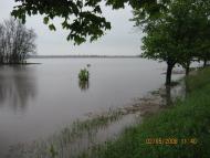 Привільнянське з panoramio.com