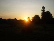 Веснянка з panoramio.com