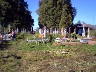 Млиниська з panoramio.com