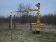 Ковиничі з panoramio.com