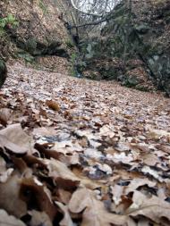 Картушине з panoramio.com