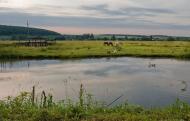 Лошнів з panoramio.com