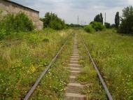 Калинове-Борщувате з panoramio.com