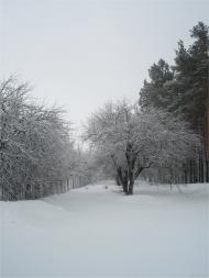 Власівка з panoramio.com