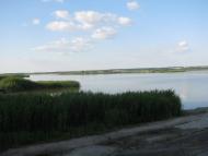Вільшанське з panoramio.com