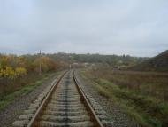 Вільхівчик з panoramio.com