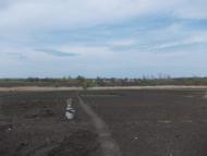 Червоний Орлик з panoramio.com