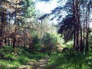 Мала Снітинка з panoramio.com