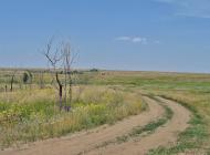 Півче з panoramio.com - Певчее