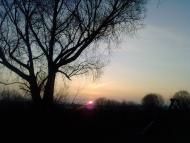 Комарове з panoramio.com