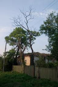Геївка з panoramio.com - Геевка