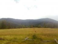 Пшеничники з panoramio.com