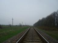 Грибенинка з panoramio.com