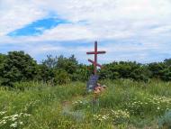 Польове з panoramio.com