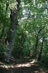 Велика Бурімка з panoramio.com