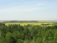 Веселе з panoramio.com