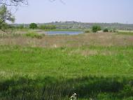 Комишуваха - Останні фото