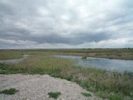 Сніжне з panoramio.com