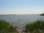 Білозерка з panoramio.com