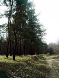 Лисичанський з panoramio.com