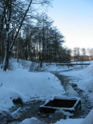 Пиротчине з panoramio.com