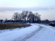 Радецька Болярка - Останні фото