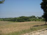 Поліське з panoramio.com