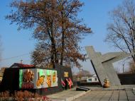 Рафалівка з panoramio.com