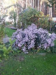 Раківка з panoramio.com