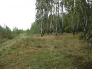 Рудня-Гацьківка з panoramio.com