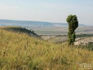 Білокам'яне з panoramio.com