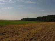 Лісна Поляна з panoramio.com