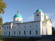 Ромашки з panoramio.com